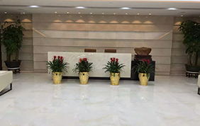 某家金融公司辦（bàn）公場所實拍